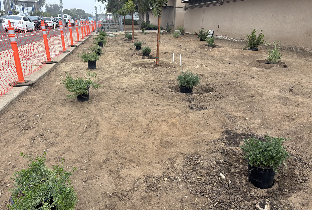 Contractor EcoTech Services worked with Whittier School leaders to minimize disruption for students. Photo: Courtesy Whittier School landscape project