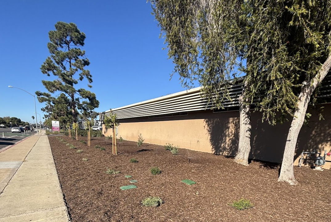 Whittier School landscaping after its makeover. Photo: Courtesy Whittier School landscape project