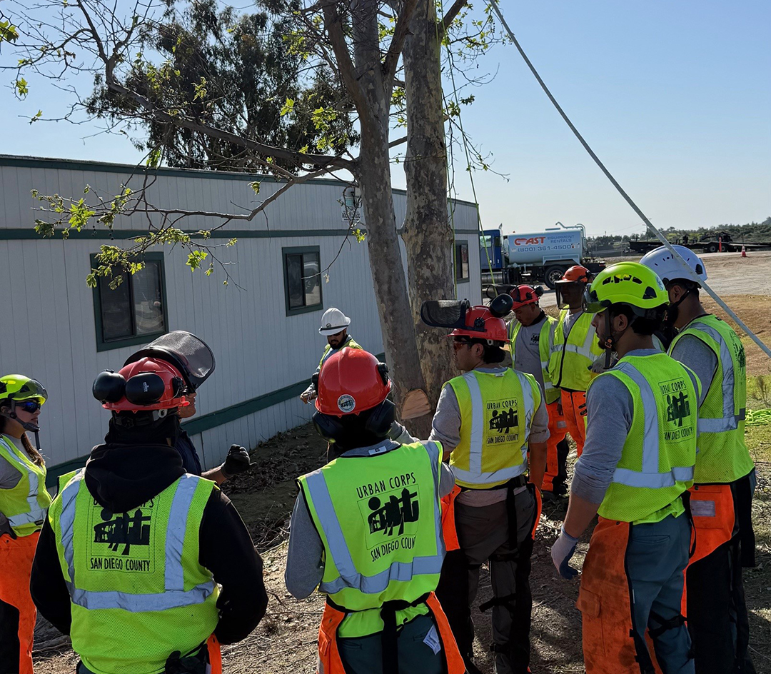 Non-native tree removal was a focus of the Sweetwater Authority's habitat restoration project. Photo: Sweetwater Authority