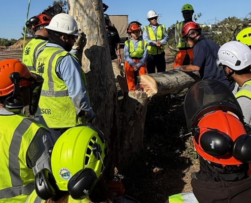 Urban Corps San Diego team members get a briefing before beginning habitat restoration work. Photo: Sweetwater Authority