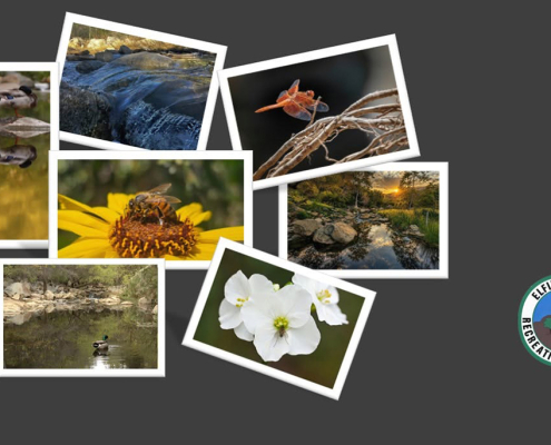 Seven talented photographers were named as the winners of the Elfin Forest Recreational Reserve 2026 Amateur Photo Contest. Photo Collage: Olivenhain Municipal Water District