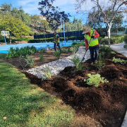The finished Emerald Heights HOA landscape makeover. Photo: Vallecitos Water District