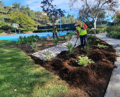 The finished Emerald Heights HOA landscape makeover. Photo: Vallecitos Water District
