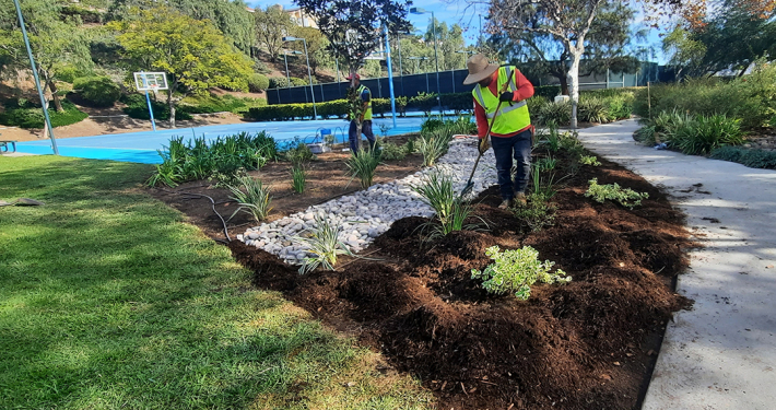 The finished Emerald Heights HOA landscape makeover. Photo: Vallecitos Water District