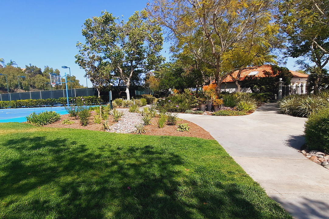 Turf can still be part of a landscape design where it supports activities like play areas for kids and pets or recreational use. Photo: Vallecitos Water District