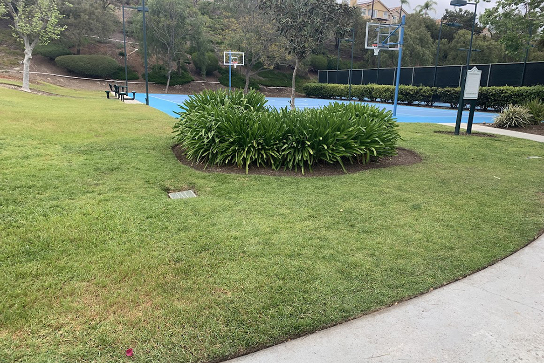 The Emerald Heights HOA landscaping before the redesign and replacement of non-functional turf. Photo: Vallecitos Water District