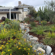 The 2026 Helix Water District's landscape contest winning homeowners made use of local resources to research their design plan and plant choices. Photo: Helix Water District