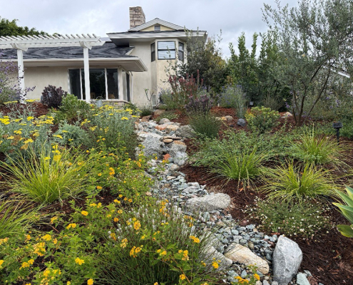 The 2026 Helix Water District's landscape contest winning homeowners made use of local resources to research their design plan and plant choices. Photo: Helix Water District