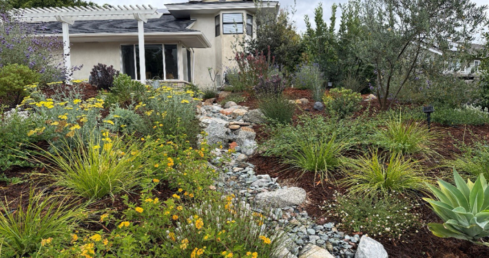 The 2026 Helix Water District's landscape contest winning homeowners made use of local resources to research their design plan and plant choices. Photo: Helix Water District