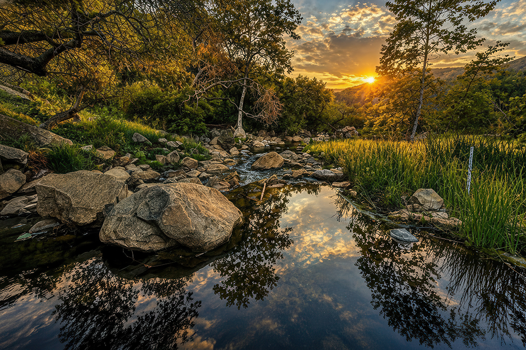 Elfin Forest Recreational Reserve 2026 Amateur Photo Contest: Scenic View - “Last Light in Elfin Forest” by Benjamin Woo
