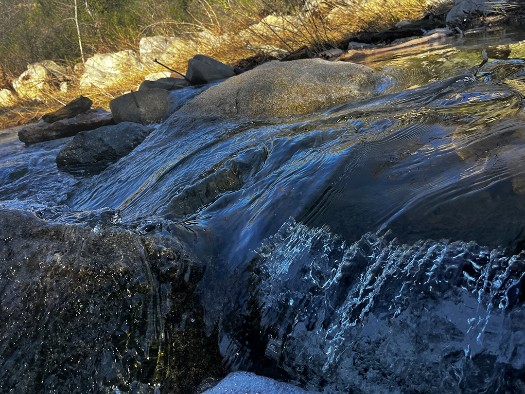 Elfin Forest Recreational Reserve 2026 Amateur Photo Contest: Water Scenery - “Open Flow” by Bowie Moldovan