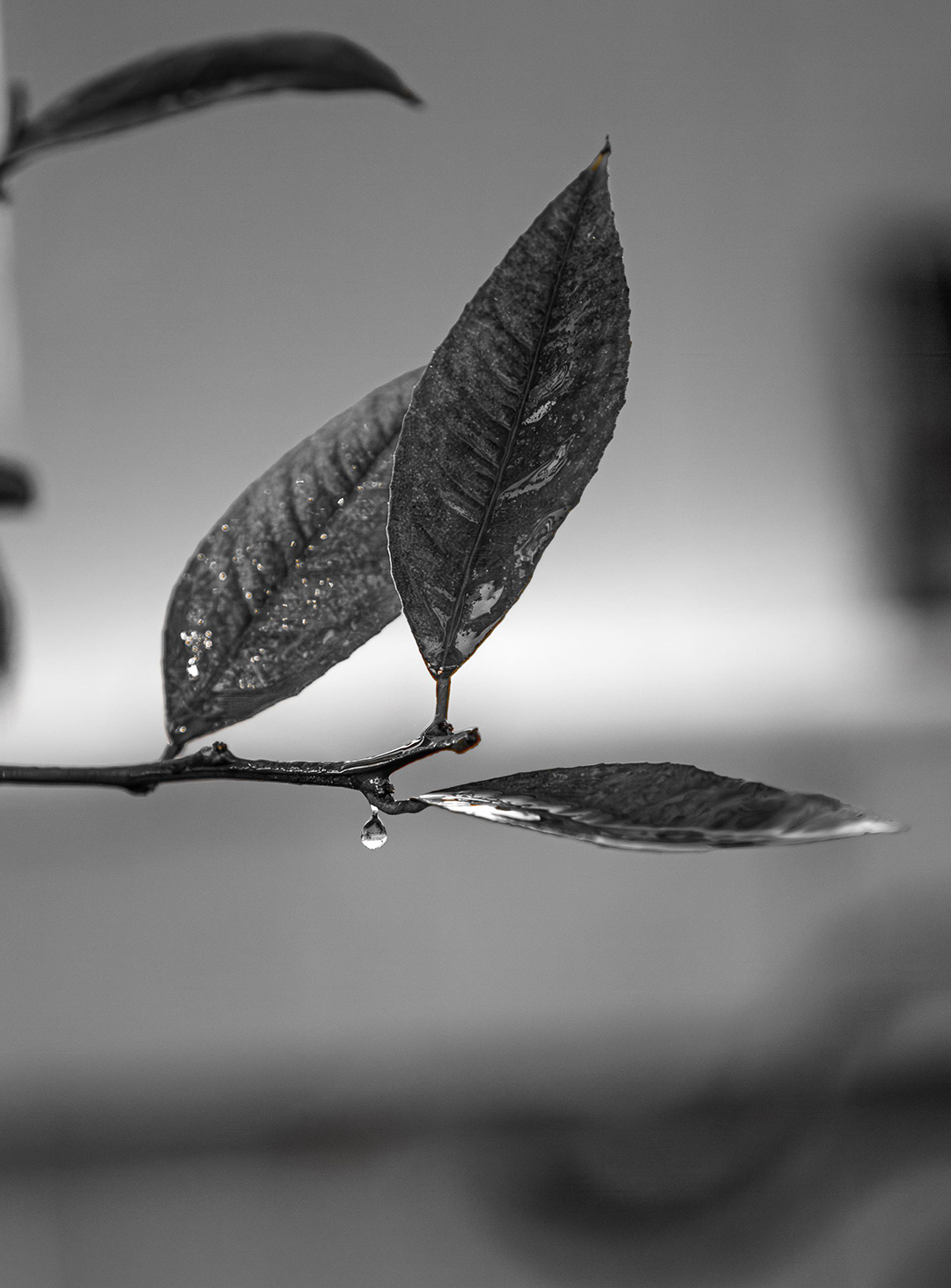 1st Place: "A Moment of Life" by Josue Nunez, Hilltop High School, Grade 11 Sweetwater Authority High School Photo Contest