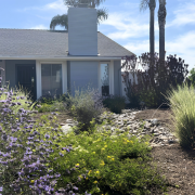Tom Watson's winning project for the City of Oceanside is a pollinator's paradise. Photo: City of Oceanside