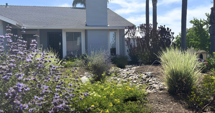 Tom Watson's winning project for the City of Oceanside is a pollinator's paradise. Photo: City of Oceanside