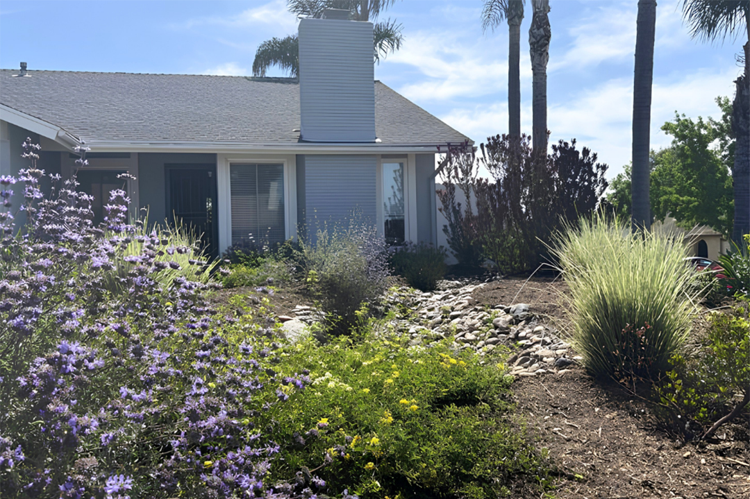 Tom Watson's winning project for the City of Oceanside is a pollinator's paradise. Photo: City of Oceanside